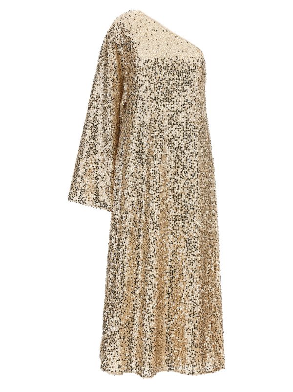 'Net Sequins Maxi' dress