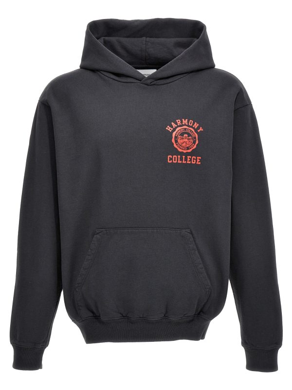 'Sany College Emblem' hoodie