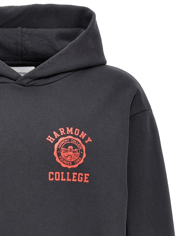 'Sany College Emblem' hoodie - immagine 3