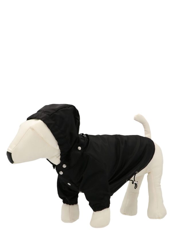 Parka for dogs - immagine 2