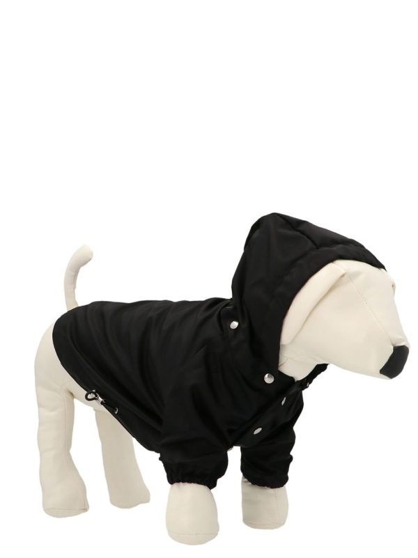 Parka for dogs - immagine 3