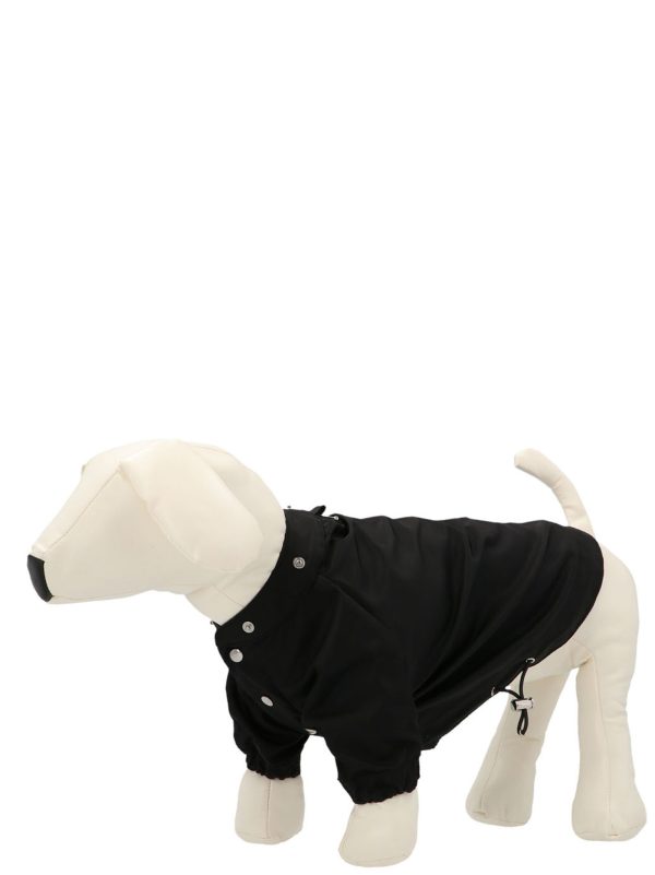 Parka for dogs - immagine 4