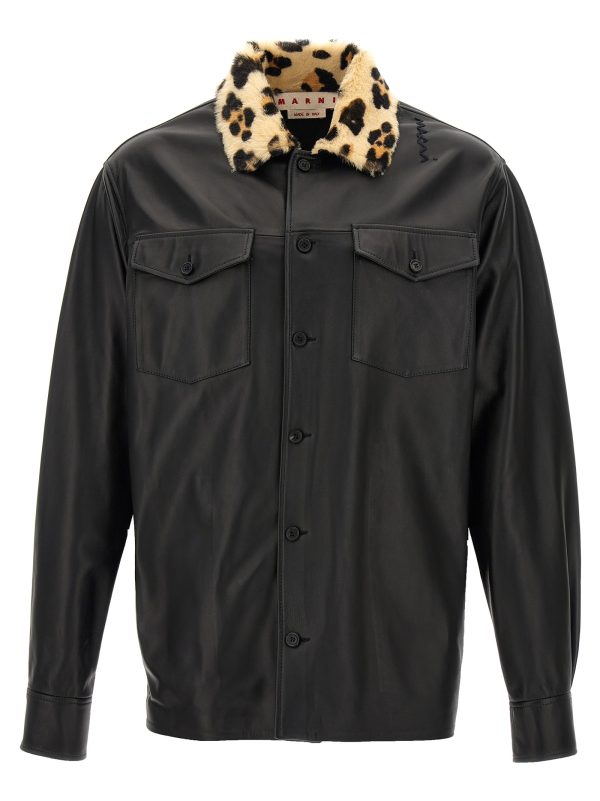 Animal collar nappa shirt