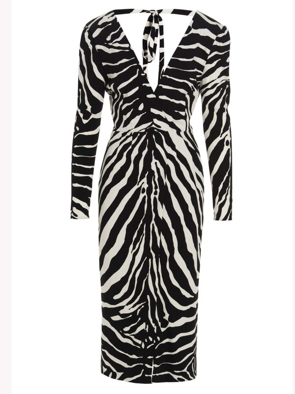 ‘Zebra’ dress